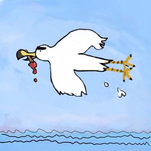 かもめ☽帶我飛過悲しい海★``