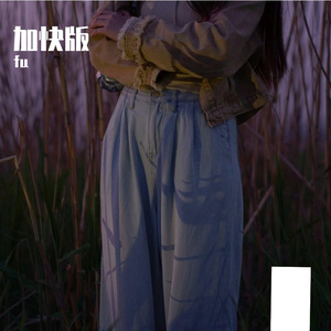 身骑白马.加快mp3