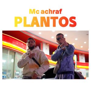 PLANTOS