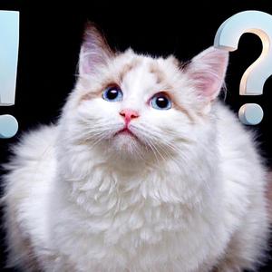 이해가 안돼? 그럼 외워!