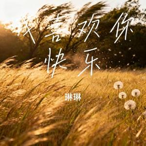 我喜欢你快乐 (Remix)