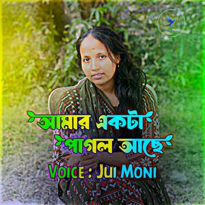 আমার একটা পাগল আছে