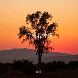 后来我才懂