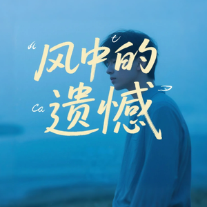 风中的遗憾