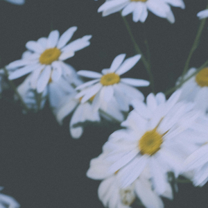 I Thought I Saw Your Face Today - Piano (Rain)