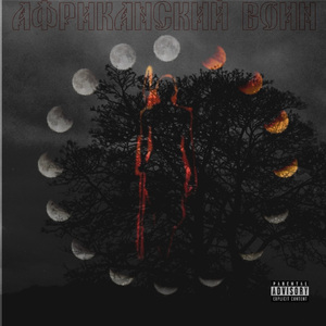 Африканский воин