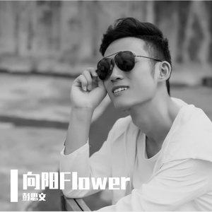 向阳Flower