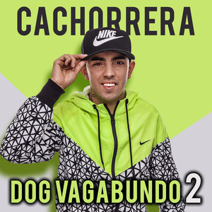 Dog Vagabundo 2