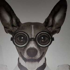 哎朋友你听我佛撒