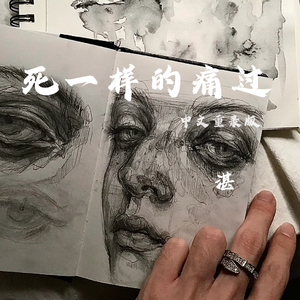 死一样的痛过中文重录版