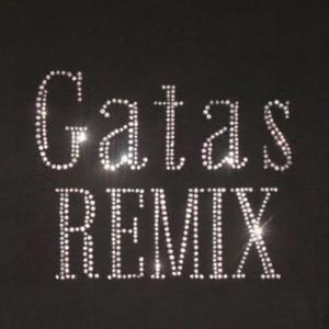 Gatas remix (feat. Shovske & Drilløx)