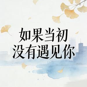 如果当初没有遇见你