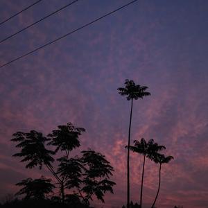 我爱你无畏人海的拥挤（翻自 棉子）