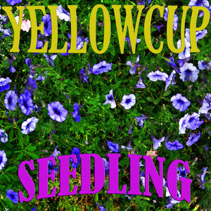 Seedling