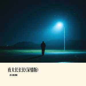 夜太长长长(深情版)