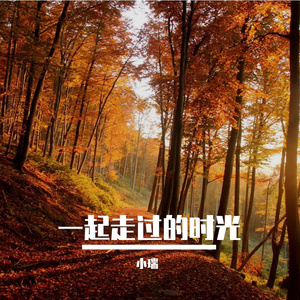 时光褶皱里的星光