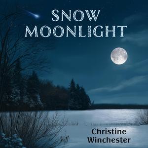 Snow Moonlight