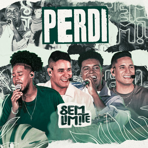 Perdi (Ao Vivo)