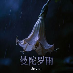 荒野上的羚羊大队