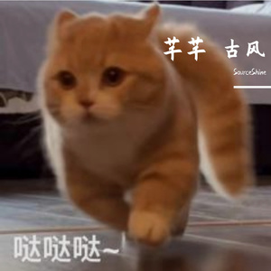 芊芊