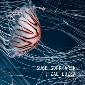 Suge Gorriaren Itzal Luzea