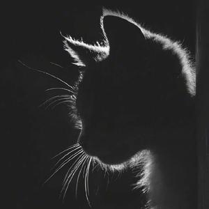 妮蔻进行曲(悠悠的古城中)