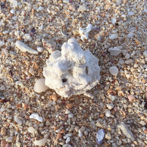 スクールゾーン～School Zone～