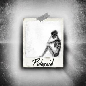 Polaroid