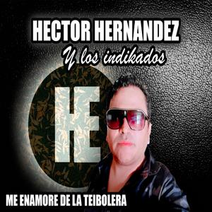 Me Enamore De La Teibolera