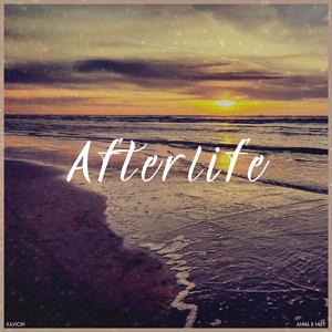 Afterlife