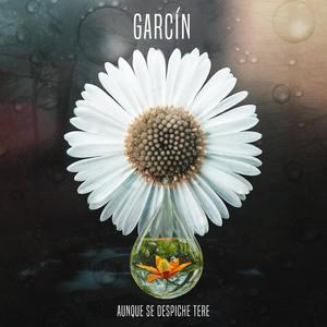 Aunque se despiche Tere