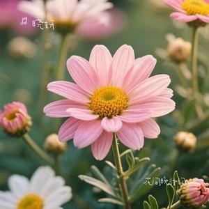 花间晚妆词