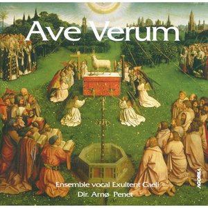 Cantate "Ave verum corpus": Transpercé au coeur