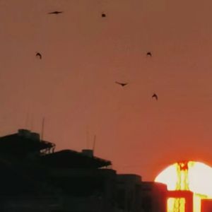 夜空中最亮的星