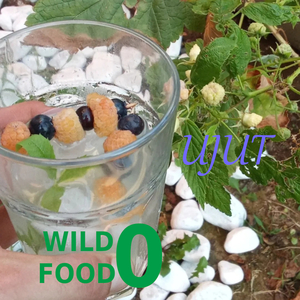 Wild Food