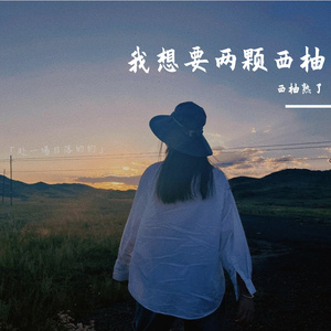 日记（深夜版）