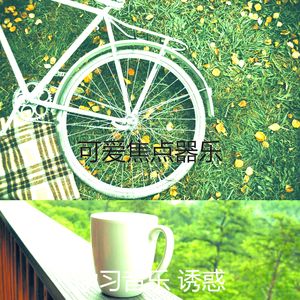 抚慰的焦点回忆