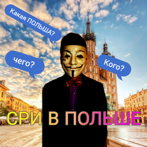 СРИ В ПОЛЬШЕ