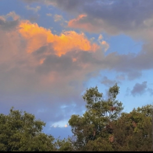 流着泪说分手-王醒醒.wav