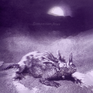 Сплошное пространство