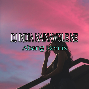 DJ India Nainowale Ne (Remix)