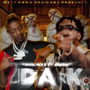 2 Dark (feat. Bin$ho)