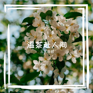 温茶赴人间