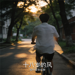 十八岁的风