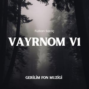 Vayrnom V1