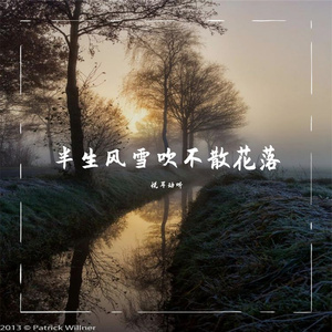 半生风雪吹不散花落