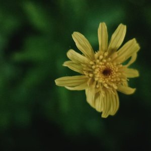 风过立夏
