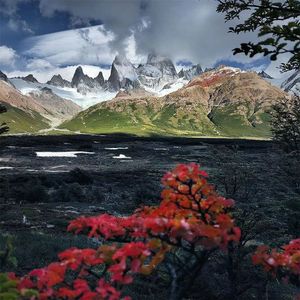 你是我最亲爱的