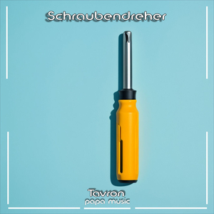 Schraubendreher (Original Mix)