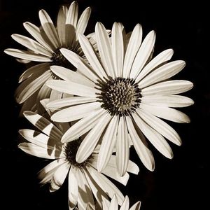 [FREE]Emo Guitar x R&B Type Beat "Tired"